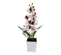 Comgooldool Orquídea Artificial Falenopsis Realista 32cm Sin Mantenimiento | cuadrada blanca rayada, , incluye planta completa, para ideal para escritorios(Black Dot White)