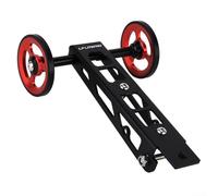 Comgooldool Rueda fácil de aleación de aluminio para bicicleta plegable Birdy serie 1/2/3, rodillo trasero ligero y silencioso de repuesto para RHINE, accesorio de componente de bicicleta en negro