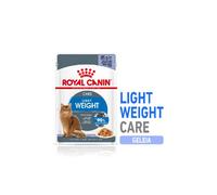 Comida húmeda para gatos Royal Canin Cat Light Weight Care en gelatina | Húmeda (bolsa) | 12 x 85 g