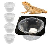 Comida para reptiles, cuenco de agua para recipientes de reptiles, cuenco de agua con para reptiles, plato de alimentación extraíble con tazas, accesorio de depósito de ahorro de espacio para