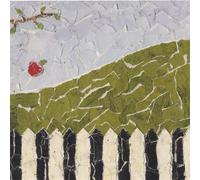 Coming to Terms With Gravity