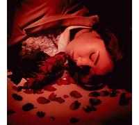Coming Up Roses - How Did We Fall So Far? [VINYL] [Vinilo]