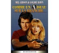 Comme un oiseau sur la branche [Francia] [DVD]