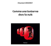 Comme une lanterne dans la nuit