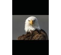 Comment et avec qui négocier la valeur de ma startup?