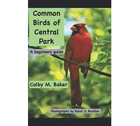 Common Birds of Central Park: A beginners guide