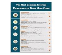Common Dog and Cat Parasites Chart Educational Veterinary Poster Pet Hospital Wall-Art for Home Clinic Decor(Unframed,08x12inch(20x30cm))