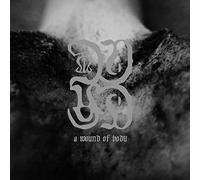 Common Eider - A Wound Of Body