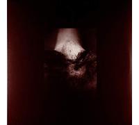 Common Eider - A Wound Of Body (VINYL) [VINYL] [Vinilo]