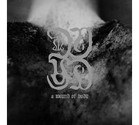 Common Eider/King Eider - A Wound of Body [VINYL] [Vinilo]