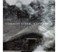 Common Eider / King Eider - Egregore