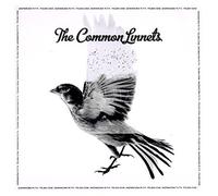 Common Linnets by Common Linnets