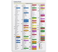 Common Network Ports Poster Essential Networking Reference Wall Decor for Cybersecurity Analyst Desk(Framed,16x24inch(40x60cm))