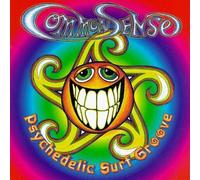 Common Sense - Psychedelic Surf Groove