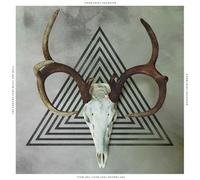 Communist Daughter – The Cracks That Built The Wall – Vinilo