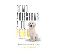 Cómo adiestrar a tu perro en 30 días: Ejercicios efectivos - Ejercicios para perros