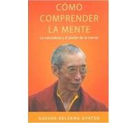 Como Comprender La Mente
