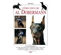Cómo educar al dobermann