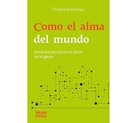 Como el alma del mundo. Moral Social y Doctrina Social de la Iglesia: 17 (Buscando entender nº 17)