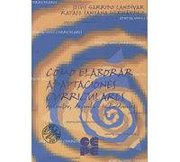 Cómo Elaborar Adaptaciones Curriculares de Centro, de Aula e Individuales: 5 (Propuestas curriculares)