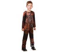 Cómo Entrenar A Tu Dragón Disfraz De Hiccup Para Niños