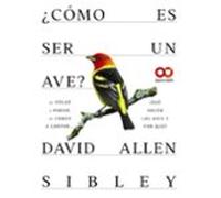 ¿cómo Es Ser Un Ave? De Volar A Anidar De Comer A Cantar... ¿que Hacen