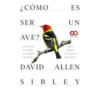 ¿Cómo es ser un ave? De volar a anidar, de comer a cantar... ¿Qué hacen las aves y por qué? (ESPACIO DE DISEÑO)