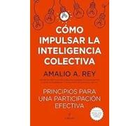Cómo impulsar la inteligencia colectiva. Principios para una participación efectiva | Amalio A. Rey