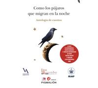 COMO LOS PÁJAROS QUE MIGRAN EN LA NOCHE