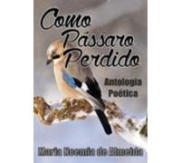 Como Pássaro Perdido (ebook)