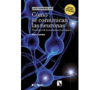 Como Se Comunican Las Neuronas