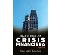 Cómo se gesta una crisis financiera: Novela (NARRATIVA)