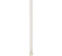 COMPACT FLUORESCENT LAMP 4PIN 2G11 55W WARM LIGHT PL5583