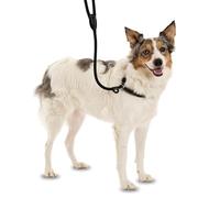 COMPANY OF ANIMALS 3-en-1 Correa Deslizante - Collar, correa y collar ronzal. Fácil de usar, suave, duradero y resistente a la intemperie. Ideal para el entrenamiento de perros. (Talla S, Marrón)
