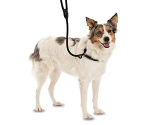 COMPANY OF ANIMALS 3-en-1 Correa Deslizante - Collar, correa y collar ronzal. Fácil de usar, suave, duradero y resistente a la intemperie. Ideal para el entrenamiento de perros. (Talla L, Negro)