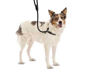 COMPANY OF ANIMALS 3-en-1 Correa Deslizante - Collar, correa y collar ronzal. Fácil de usar, suave, duradero y resistente a la intemperie. Ideal para el entrenamiento de perros. (Talla S, Marrón)