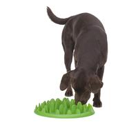 Company of Animals Verde Lento Perro Comedero,Parada Tu Comiendo Así Rápidamente