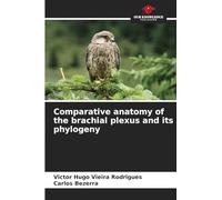 Comparative anatomy of the brachial plexus and its phylogeny