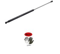 Compatible con 809mm 280N Mercedes 190 W201 01/83 A 08/88, 190 W201 09/88 A 05/93 MG017030 Muelle DE Gas Frontal CAPÓ AMORTIGUADORES PISTONES HIDRÁULICOS