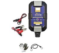 Compatible con Adly Thunder Bike 50 cargador y mantenedor de carga de baterías de plomo ácido/AGM/GEL/Litio 6 V/12 V para coche, moto, caravana, quad jet ski, compacto automático máx. 30 Ah
