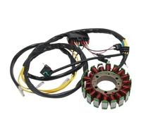 Compatible con Assy de Bobina de Carga de Botes de Motocicleta para MV7 2004 2005 600 2004-2005 700 Militar 2004 Número de Pieza de reemplazo de posventa Universal Fit 4010901 Accesorios