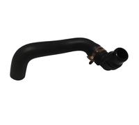 Compatible Con Benz Para C240 C320 C55 Para AMG CLK240 CLK320 CLK500 Manguera Radiador Para Tanque Agua Coche Tubo Desbordamiento Refrigerante. Mangueras del radiador