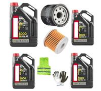 Compatible con BMW F 650 GS Kit DE Servicio para Moto 4 litros DE Aceite 10W40 5000 4T TECNOLOGÍA HC-Tech + Filtro DE Aceite Cambio Aceite del Motor