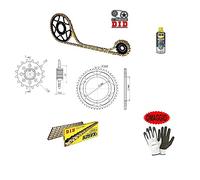 Compatible con BMW F GS (K72) (MOZZO FORI Ø 10,5) 800 2013-13 Kit DE Cadena DE PIÑONES para TRANSMISIÓN DE Motocicleta Did 525VX3 LUN 116 / Enlaces,PIÑÓN DE Acero P525-Z42,PIÑÓN P525-Z16