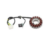 Compatible Con CBR125RW Para CBR125RS 2005-2006 Para CBR125R 2004-2005 Motocicleta Magneto Estator Bobina Estator De Encendido Magneto 31120-KPP-861 Bobina estator magnético