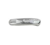 Compatible Con Chevrolet Para Captiva 2008-2017 Accesorios Para Automóvil Espejo Retrovisor Exterior Luz De Señal De Giro Lámpara Indicadora Intermitente Luz Indicadora de Giro(1PCS left side)
