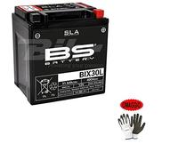 Compatible con Harley Davidson FLHR Road King 1584 2007-2010 Batería ya lista para su uso BS BIX30L sobre carga sellada baterías 30 Ah Amplía 12 V 165 x 125 x 175 mm