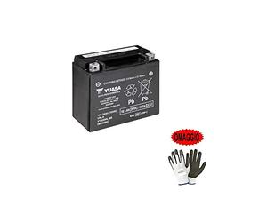 Compatible con Harley Davidson XL53C Sportster Custom 883 2000-2003 BATERÍA YUASA YTX20HL-BS (SELLADA SUMINISTRADA) BATERÍAS 12V / 18AH para Motocicleta ESPECIFICACIÓN 175X87X155MM