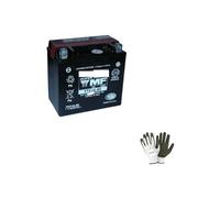 Compatible con Harley Davidson XLCX Roadster 1200 2016-2018 BATERIA YTX14L-BS YUASA (SELLADA Completa Y Lista) BATERIAS 12V / 12AH para Moto Scooter ESPECIFICACION 150X87X145
