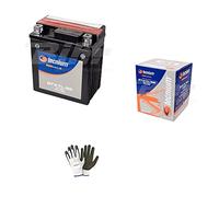 Compatible con Honda 125 SH Scoopy i 2015 Batería ya lista para el uso Tecnología YTX7L-BS baterías 6 amperios 12 V específico para moto scooter 113 x 70 x 130